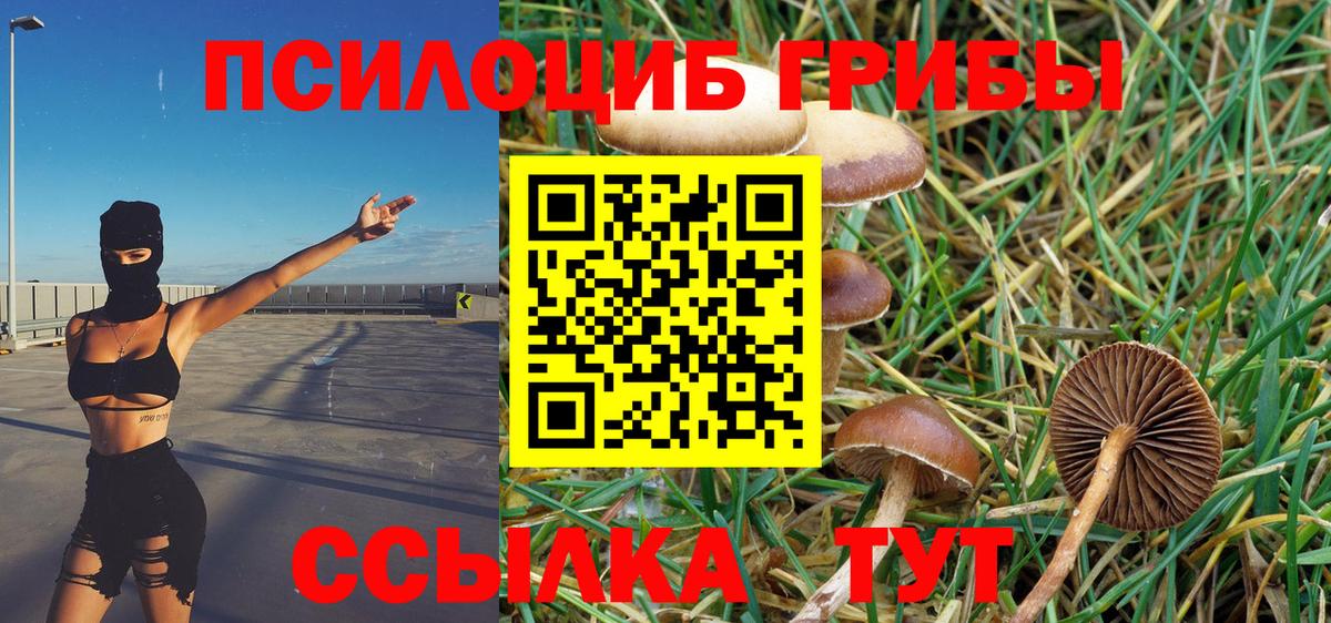 Галлюциногенные грибы прущие грибы Горячий Ключ