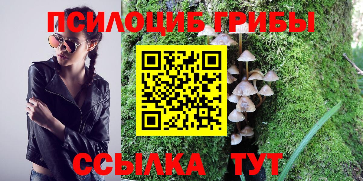 Горячий Ключ  Галлюциногенные грибы Psilocybine cubensis  Псилоцибиновые грибы прущие грибы  Вход с VPN 